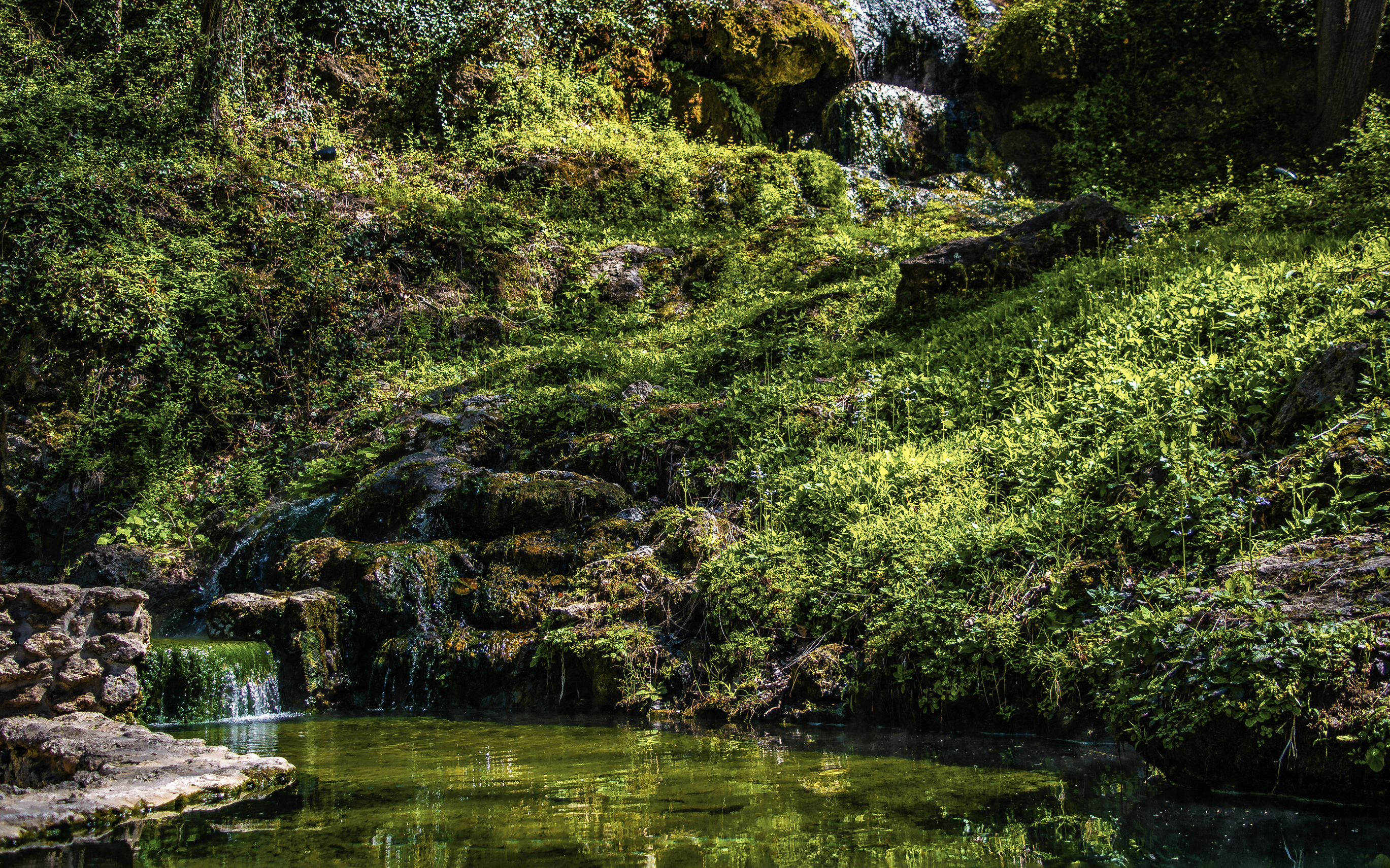 Best Dog Friendly Airbnb Best Dog Friendly Airbnb